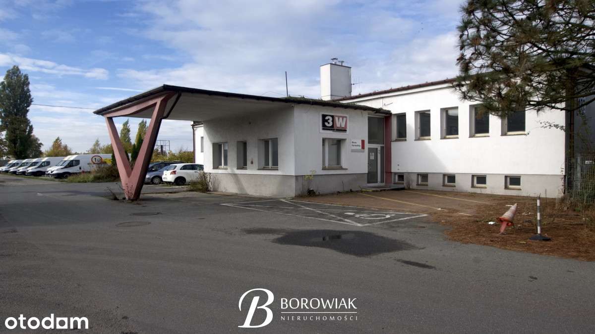 Lokal użytkowy - 134 m² | Dużo miejsc Parkingowych - Pełny obrazek: 2/9