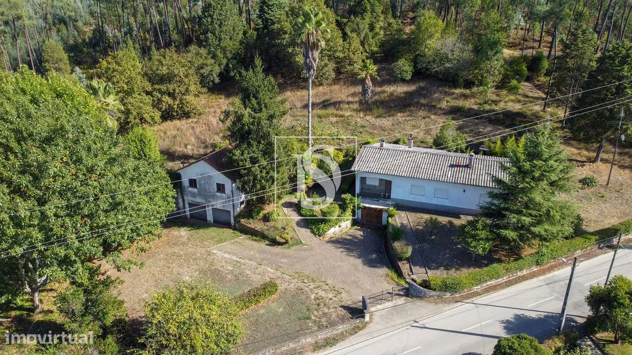 Quinta com 24.300m² em Vale de Açores, Mortágua-3