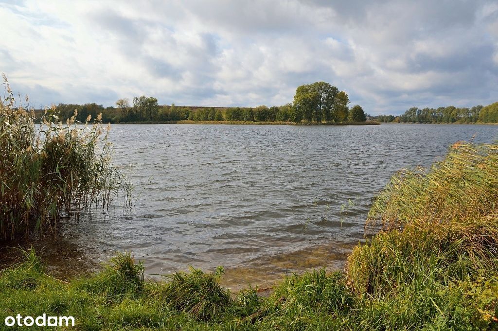 Z linią brzegową jeziora - piękna działka