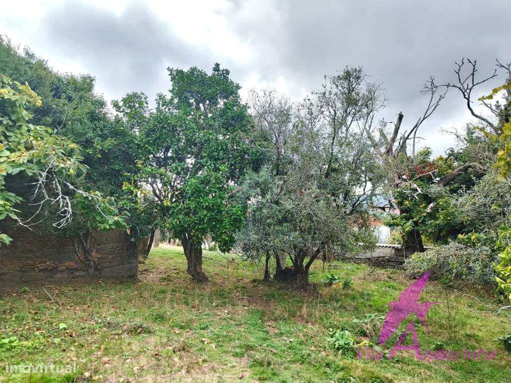 Terreno com Anexo em Pedra em Samonde - Santa Marta de Portuzelo-8
