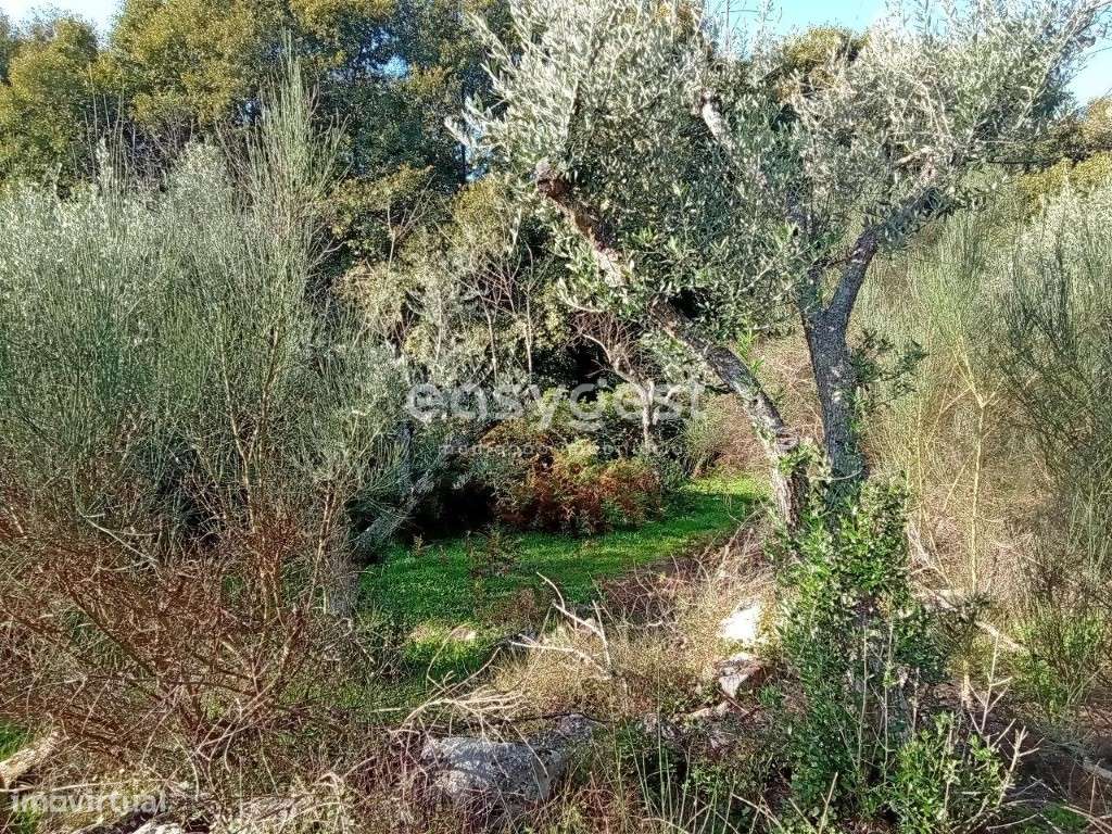 Terreno Rustico excelente localização na aldeia de Póvoa Rio Moinhos - Grande imagem: 5/8