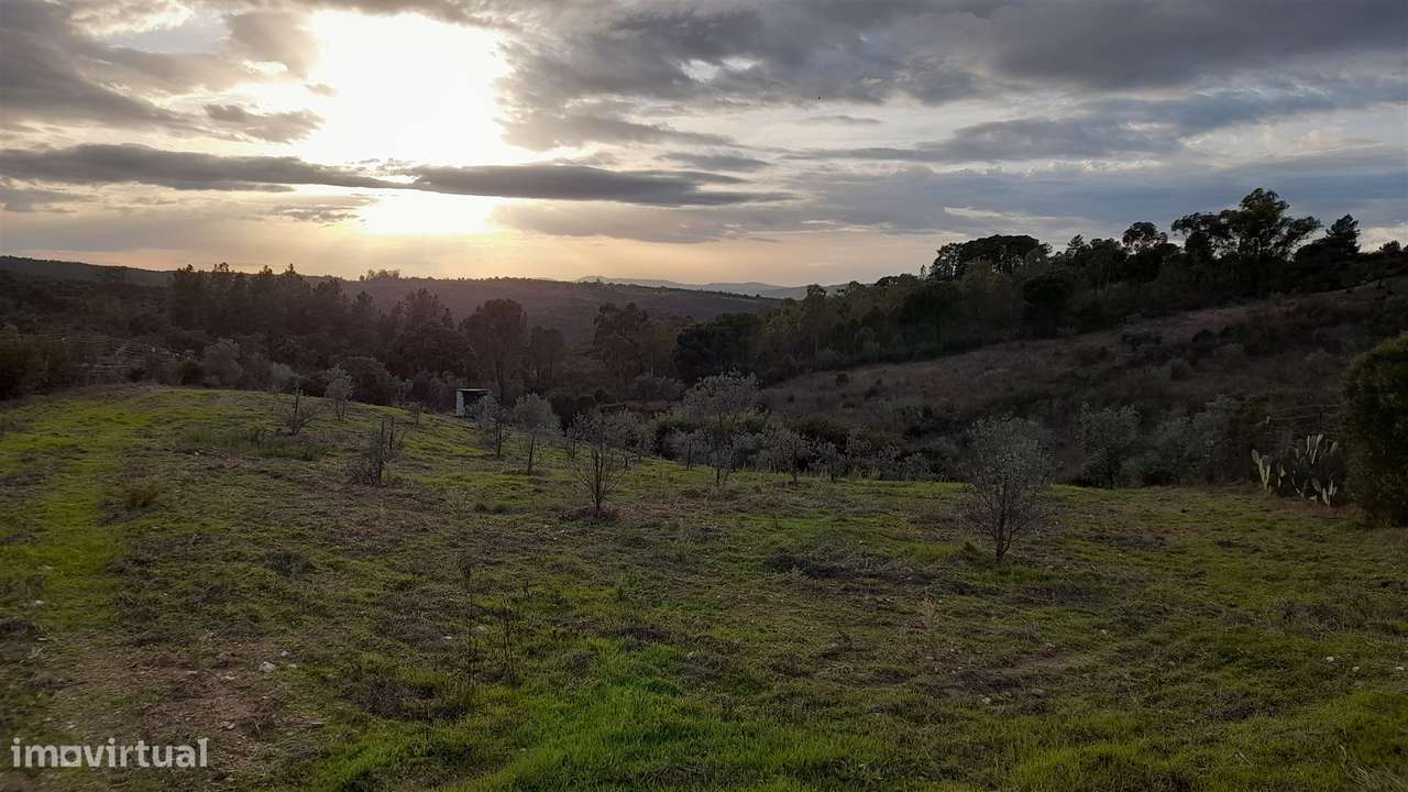 Moradia em Banda T4 Venda em Castelo Branco,Castelo Branco - Grande imagem: 5/42