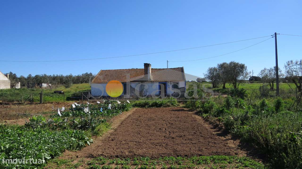 Quinta com duas habitações em Sta. Catarina - Alcácer do Sal-3