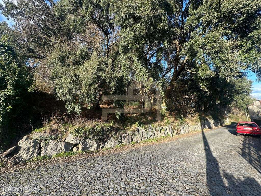 Vende-se terreno de construção com 7.000 m2.-6