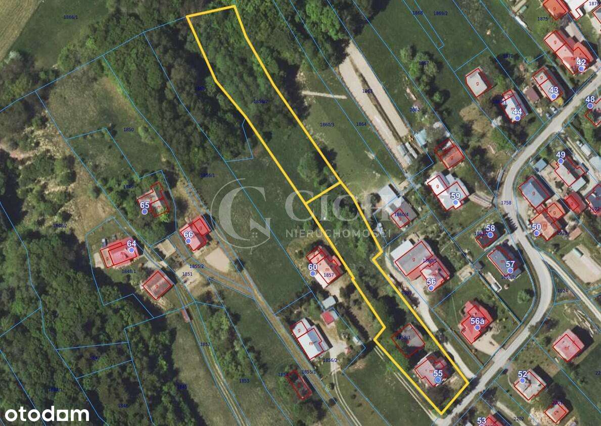 Dom z dużą działką w atrakcyjnej cenie.-10