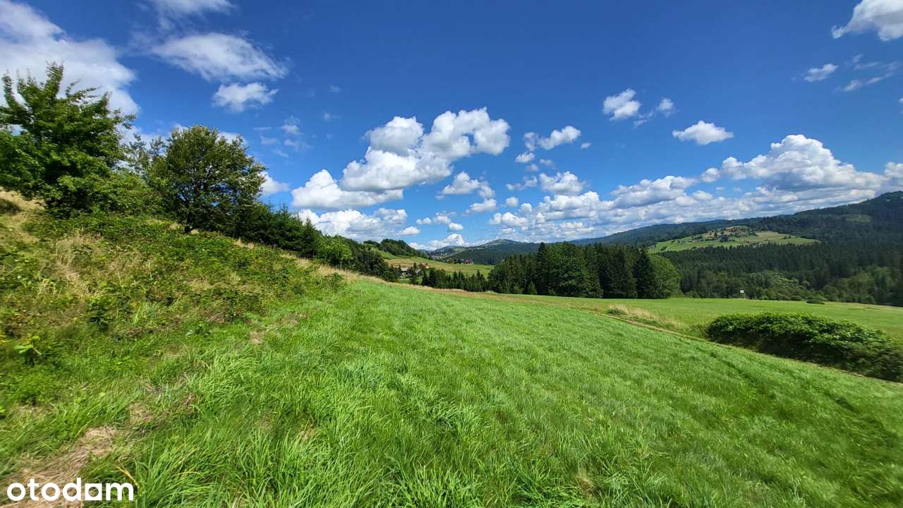 Działka rolna, 3000 m, Jaworzynka - Pełny obrazek: 5/8