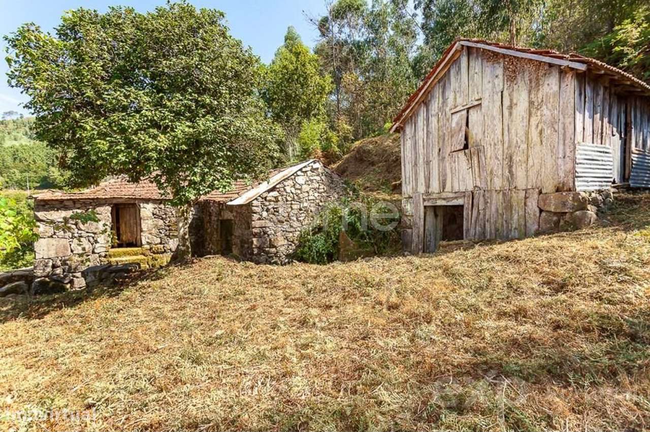 Moradia para recuperar com terreno de 6424 m2 - Cinfães - Grande imagem: 4/16