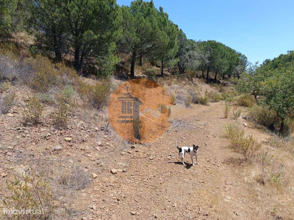 TERRENO RÚSTICO COM 5.160 M2 - PRÓXIMO A FOZ DE ODELEITE - ODELEITE... - Grande imagem: 5/22