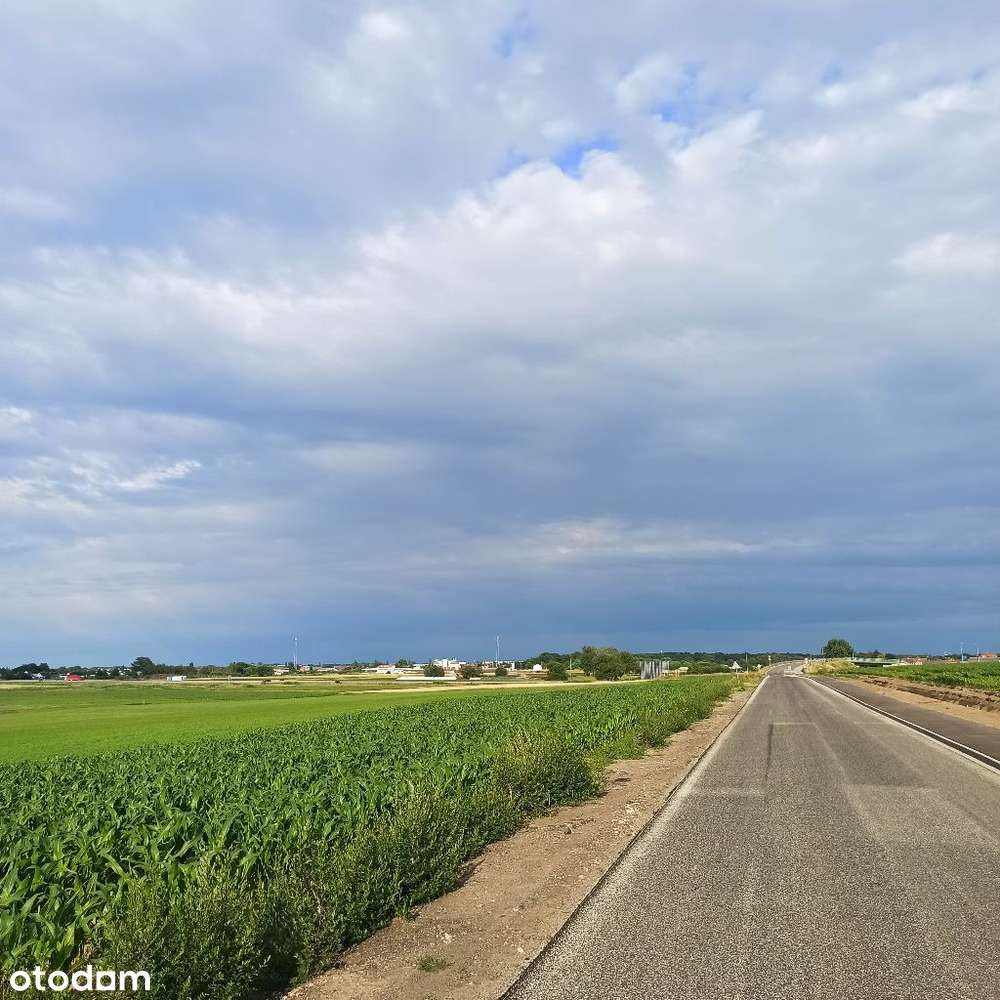 Działki usługowe Sierakowo 4000m2 - 8000m2 - Pełny obrazek: 4/10