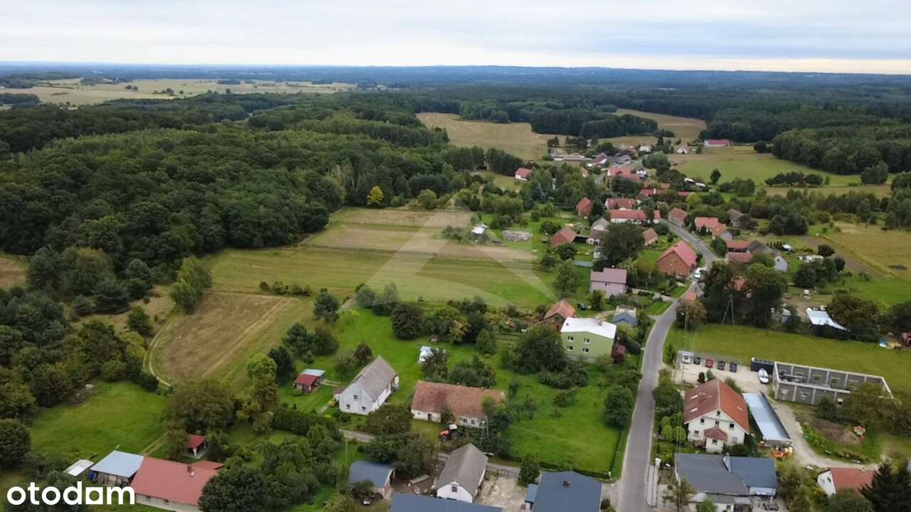 Działka budowalna z lasem i dostępem do mediów, mpzp - Pełny obrazek: 3/9