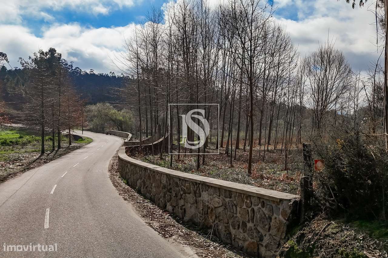 Terreno Rústico  Venda em Associação de freguesias do Vale do Neiva,Po-27
