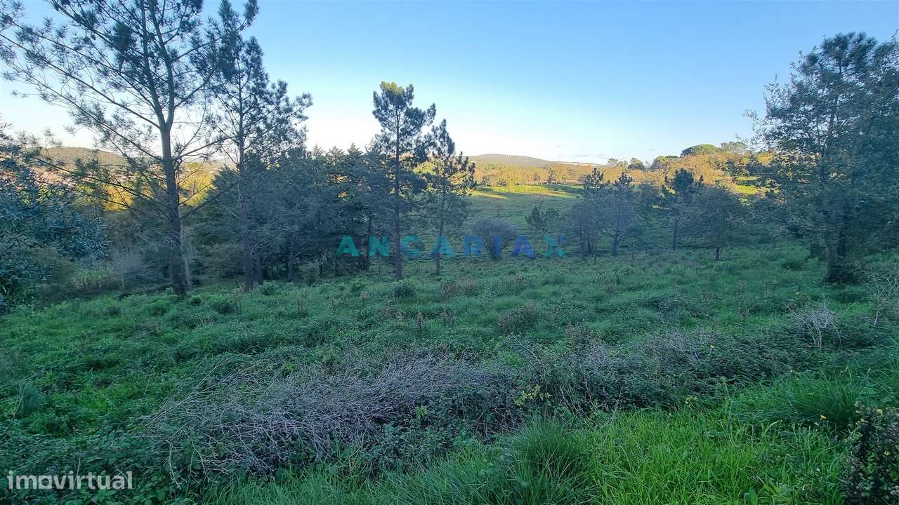 ANG1294 - Lote de Terreno para Venda em Pombal - Grande imagem: 5/8