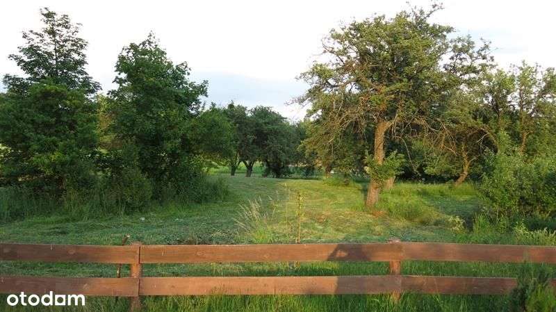 Działka - Chojna Obręb Kolonia - Pełny obrazek: 4/8