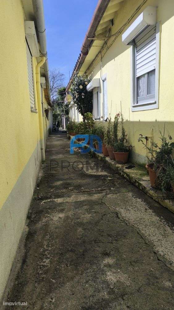 Moradias inseridas em lote urbano de 636 m² | Boavista, Porto-8