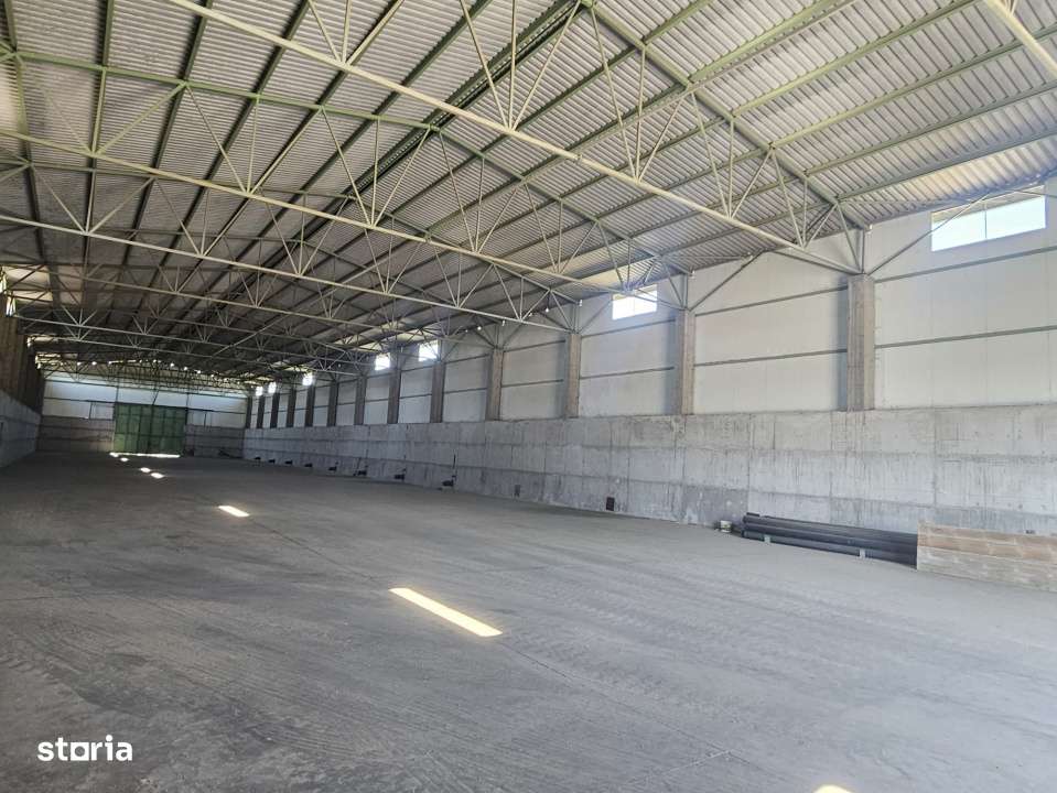 Proprietate agroindustriala, hala 1590 mp, teren 28000 mp, panouri 398 - Imagine principală: 2/19