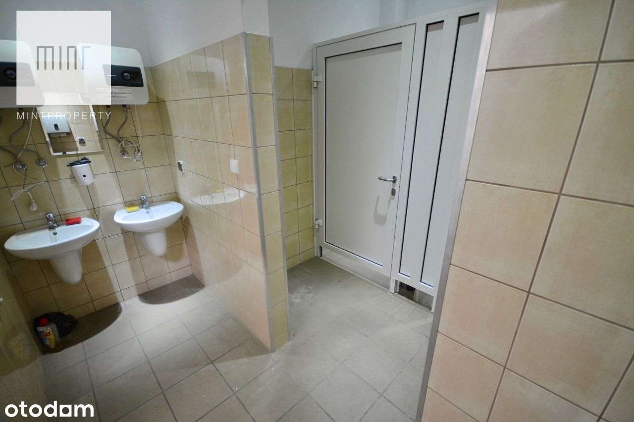 Obiekt produkcyjno - magazynowy - Rogoźnica - Pełny obrazek: 5/5