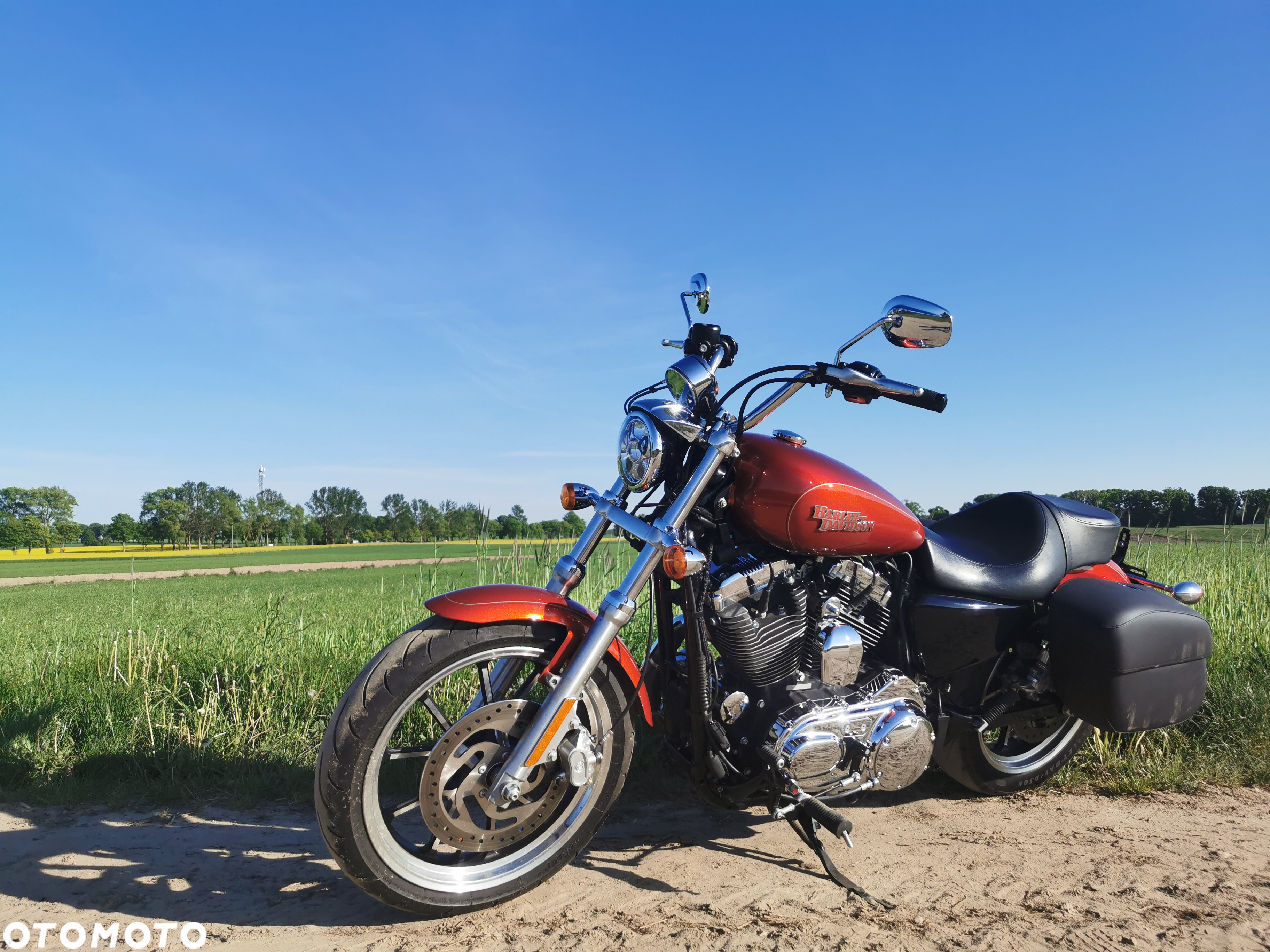 Harley-Davidson Sportster Custom 1200C - 4