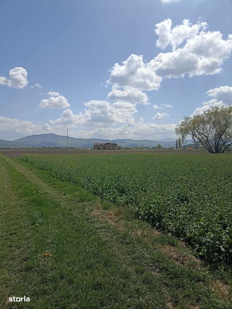 De vânzare teren extravilan langa drumul DN11-2