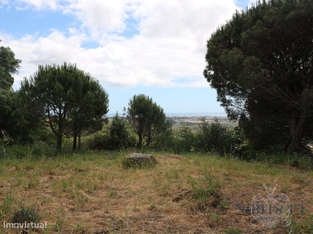 VENDE-SE: Moradia com Vista Mar Isolada na Elevada Malveira da Serr...-9