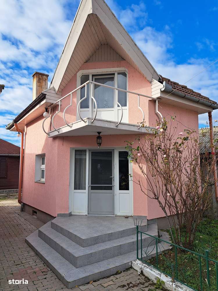 OFERTA in Băcia. Hunedoara ! Proprietate 2 case + Cabană - Imagine principală: 4/17