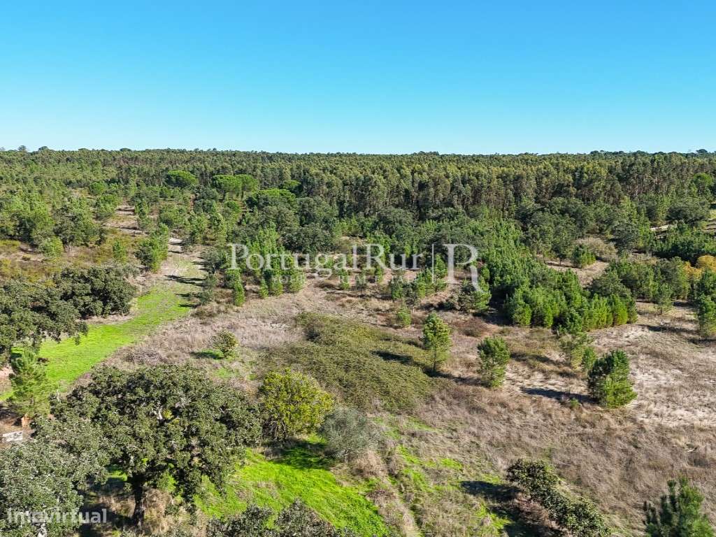 Quinta de 20ha com projeto para Turismo Rural a 1h de Lisboa-44