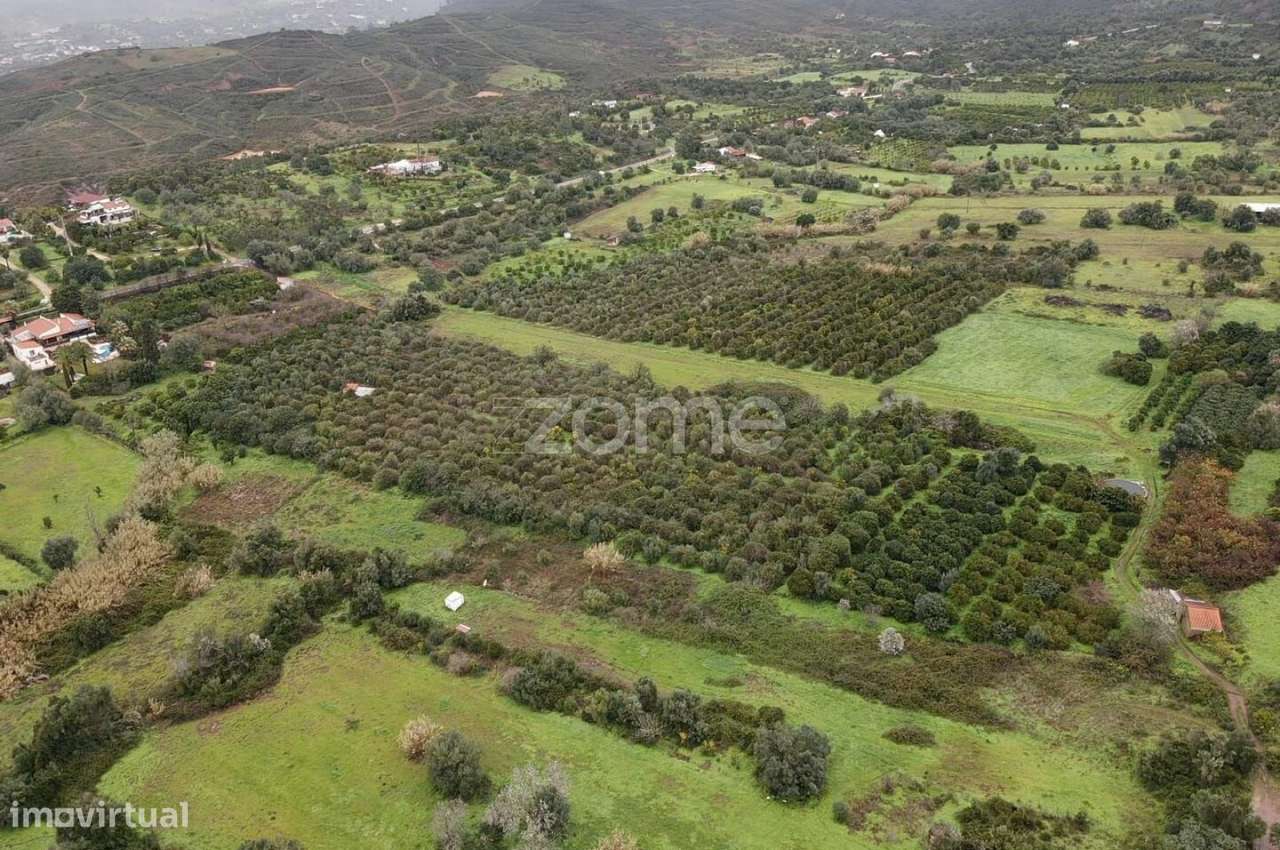 Dois Terrenos Rústicos c/ 4.680m2 em Ladeira da Cumeada - Grande imagem: 5/17