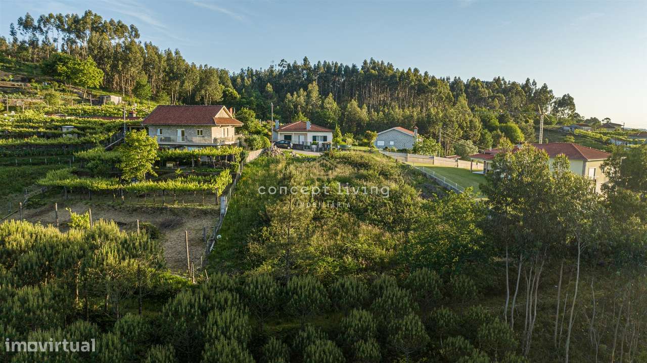 Lote de Terreno  Venda em Serzedelo,Póvoa de Lanhoso-6