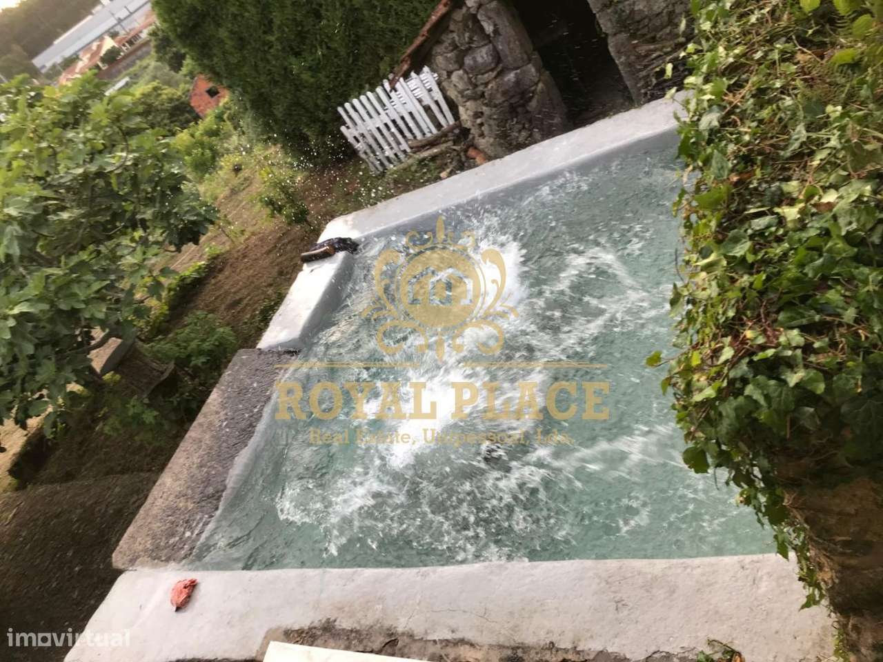 Quinta com armazém em Ossela, Oliveira de Azeméis-16