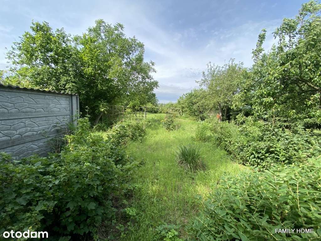 DOM wolnost-DO REMONTU, dz.900m2, Gniezno-Jankówko-7