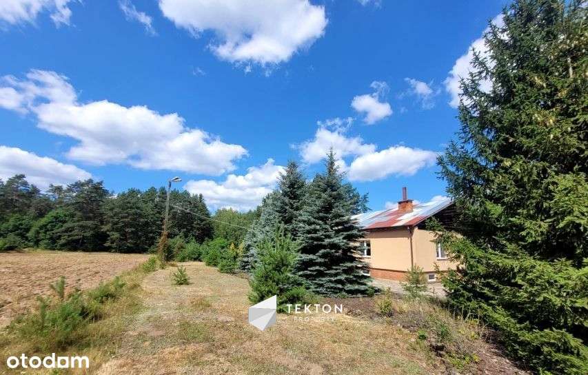 Działka rolna z zabudową-1,6 ha pod Twoje potrzeby - Pełny obrazek: 5/5