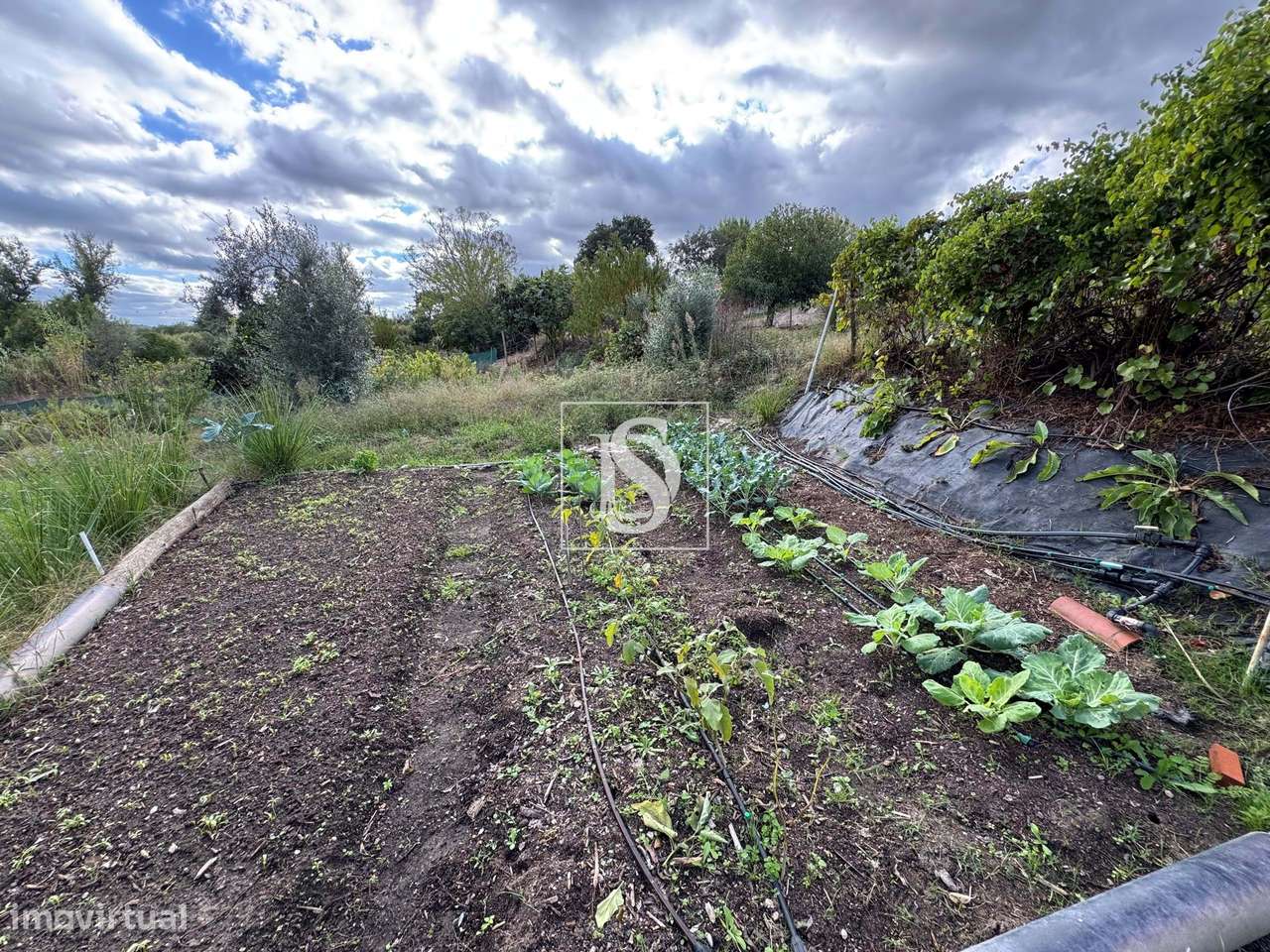 Quintinha em Tramaga-28