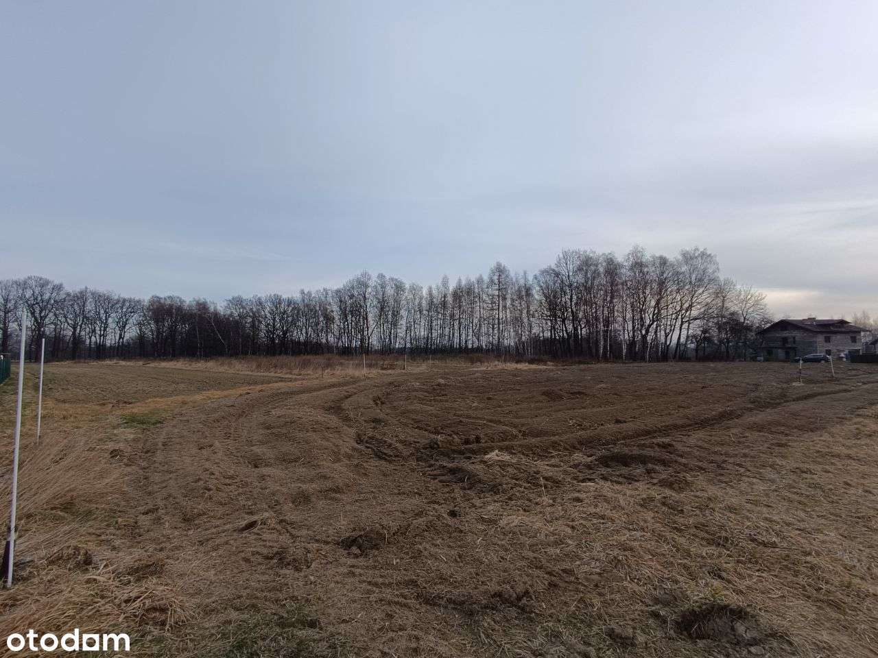 Sprzedam działkę budowlaną w Wilamowicach - Pełny obrazek: 5/5