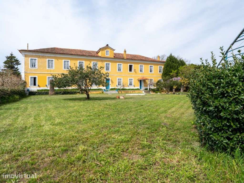 Quinta do Campo, 6 ha em Valado de Frades, Nazaré - Grande imagem: 4/60