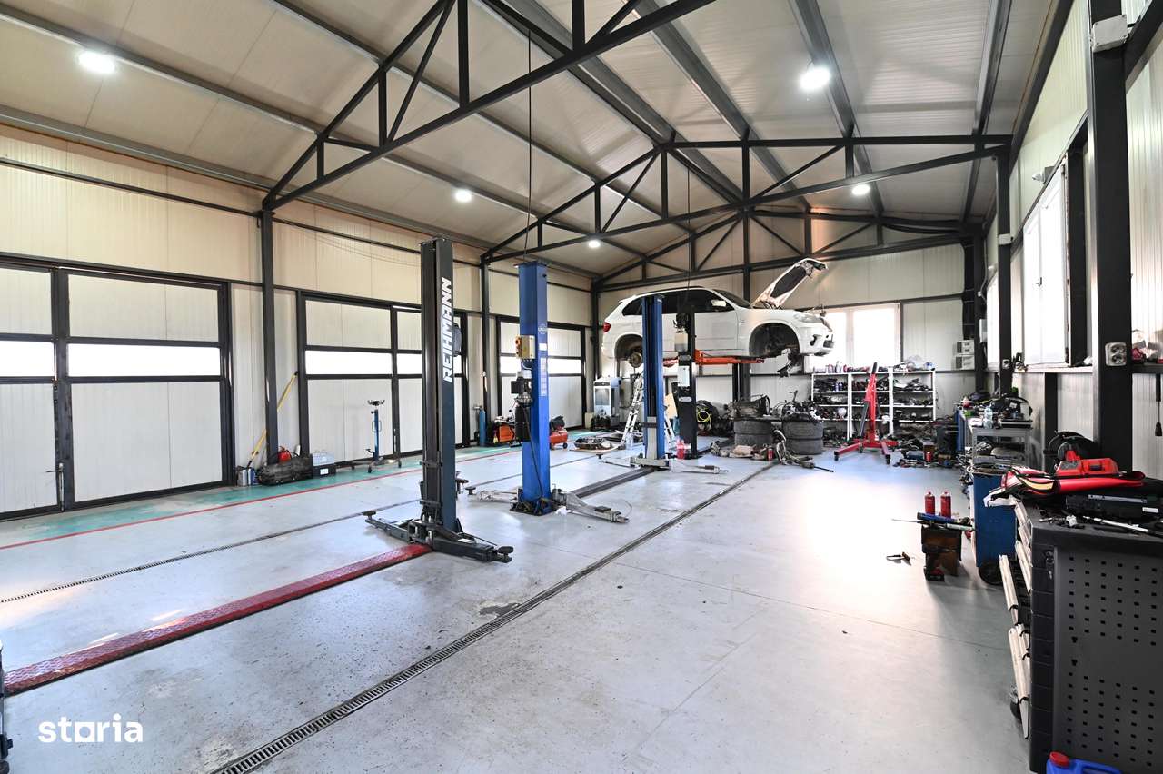 Hala de vânzare/închiriat Podari-8