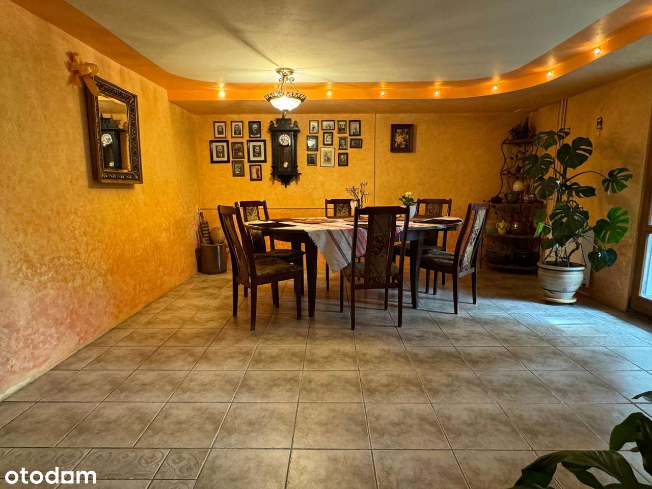 Urokliwa nieruchomość w gminie Radziejowice-9