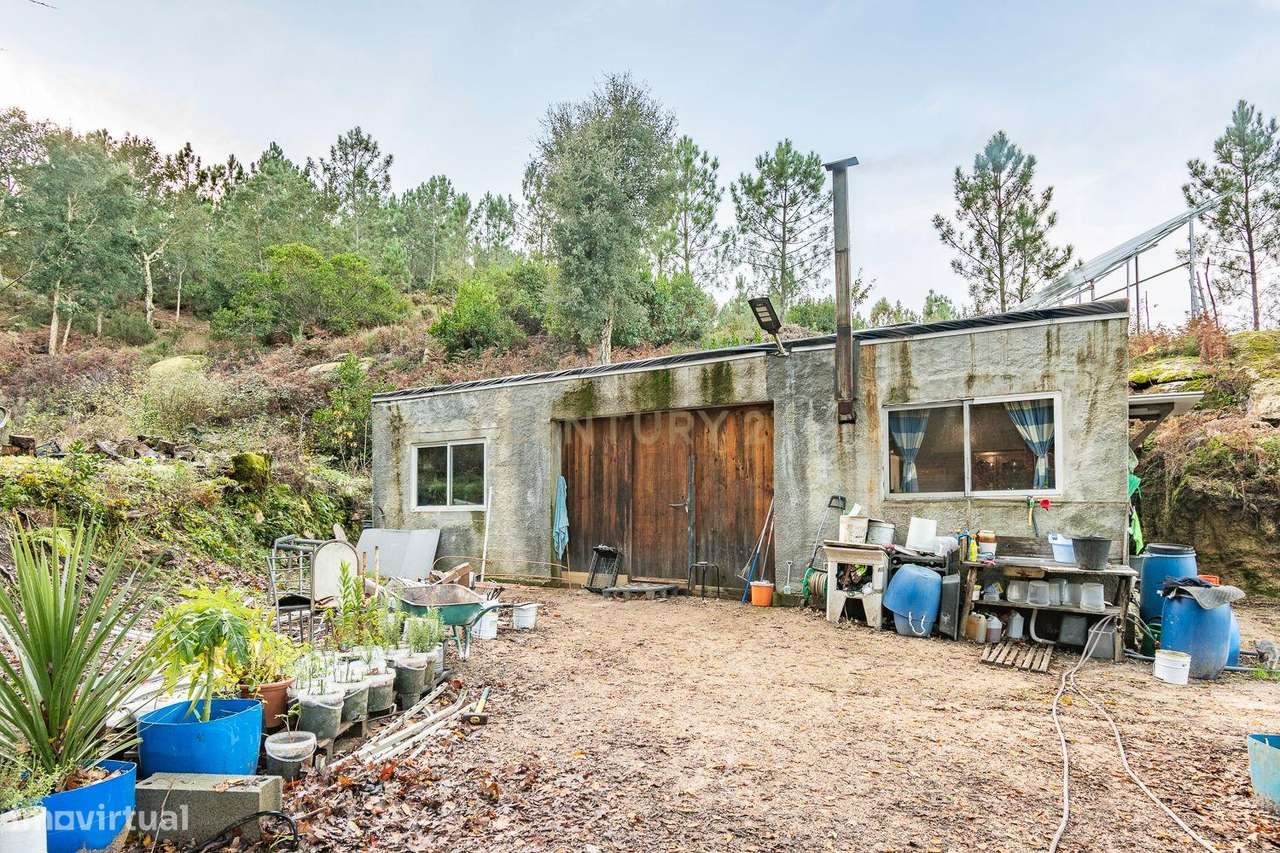 Viver de uma forma Ecológica em Terreno Panorâmico em Calde, Viseu-13