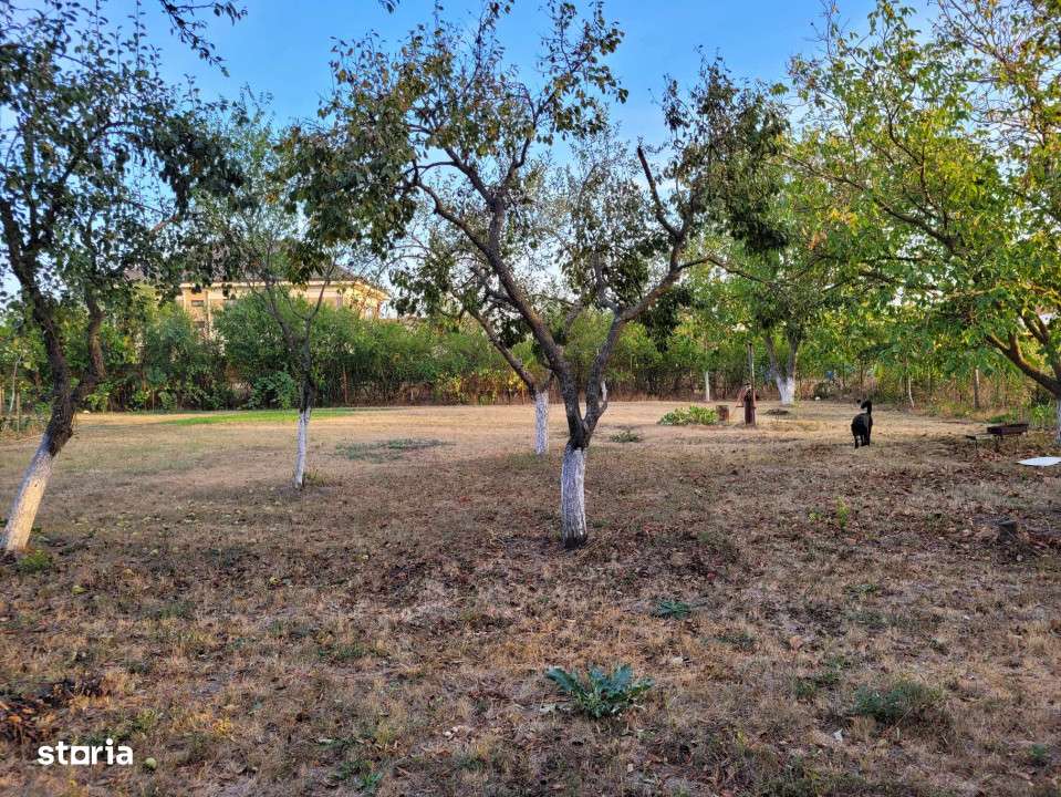 De vanzare teren intravilan 1000 mp. Corbeanca - Imagine principală: 2/5