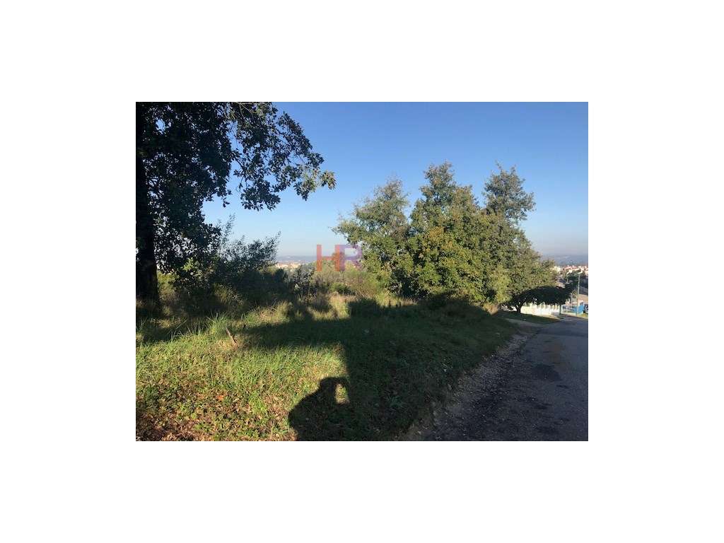 Alqueves-Terreno para construção com 5000m2 - Grande imagem: 4/10