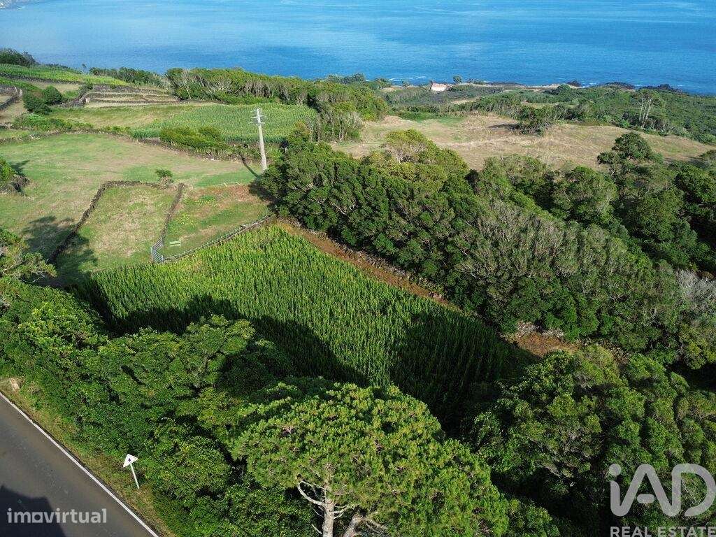 Terreno em Ribeiras - Grande imagem: 3/8