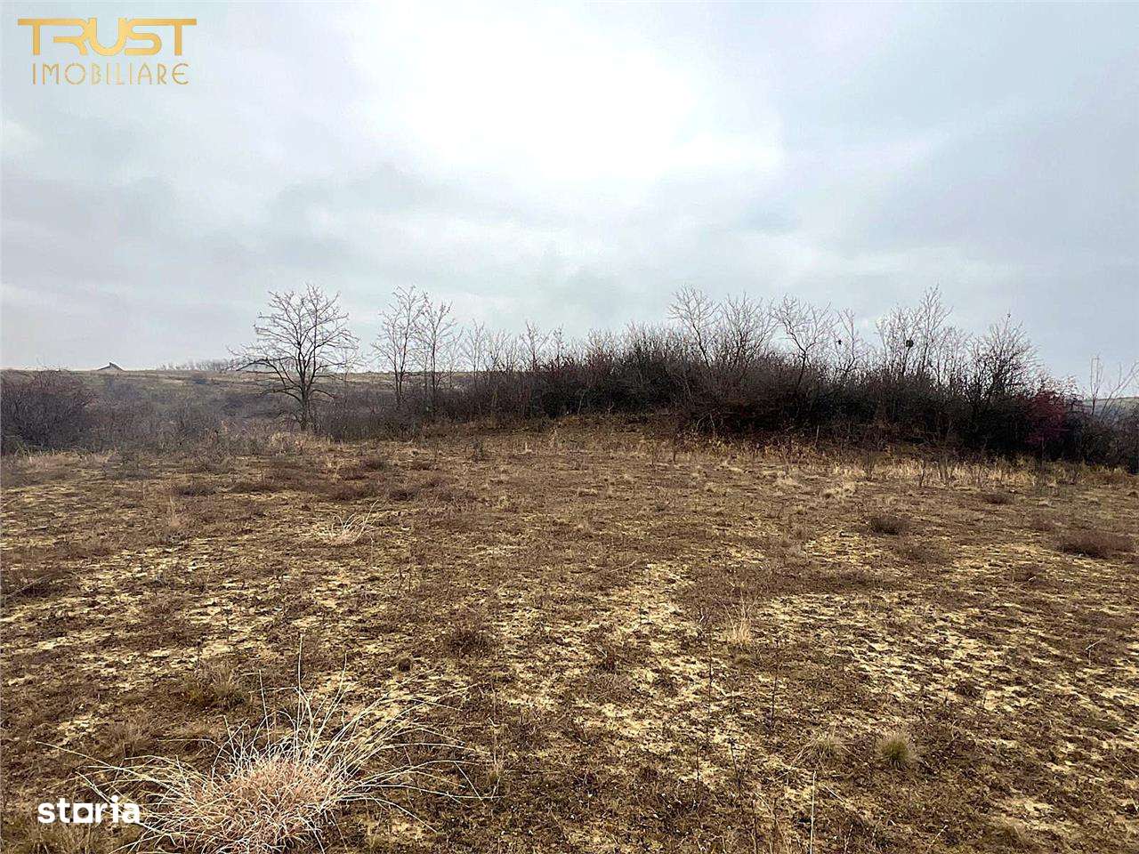 Teren Extravilan Sigmir - Imagine principală: 3/11