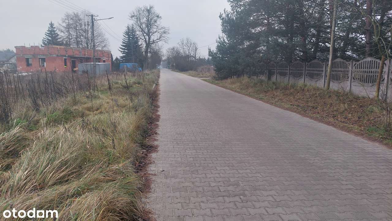 Działka z widokiem na las - Pełny obrazek: 3/4