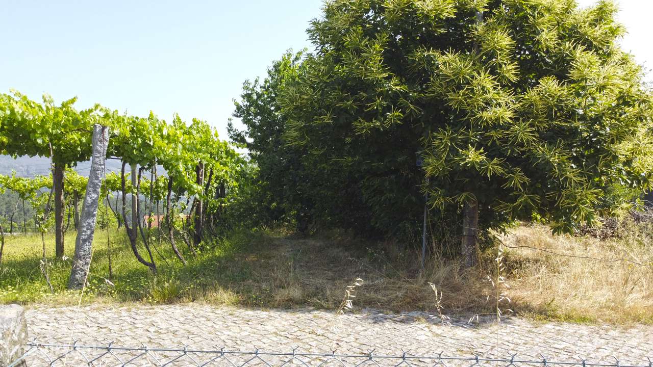 Moradia para Restauro Telões Amarante - Grande imagem: 5/26