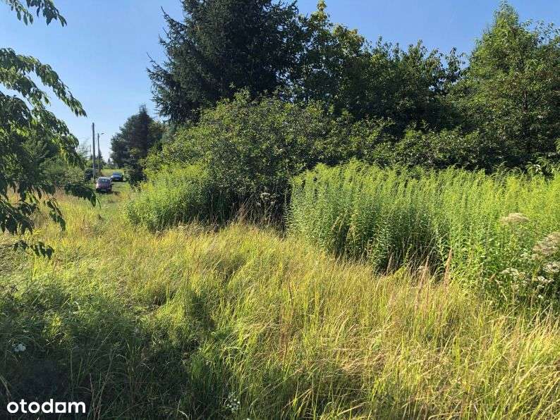 Duża działka w centrum - SUPER CENA - Pełny obrazek: 3/11