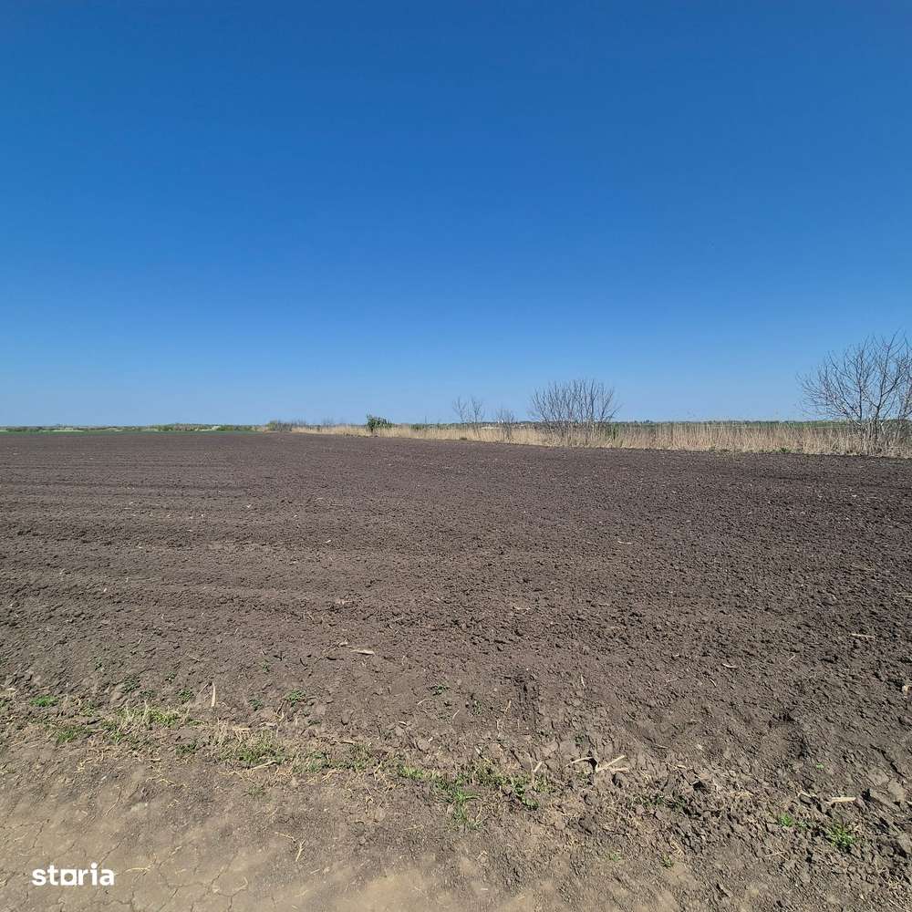 GRADISTEA - Sat Sitaru, teren agricol 11.961mp, ideal investitie-6
