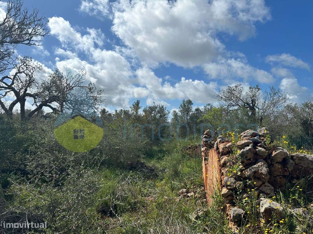 Terreno Plano com 12.0400m2 com Ruína á venda no Barrocal - Grande imagem: 4/7