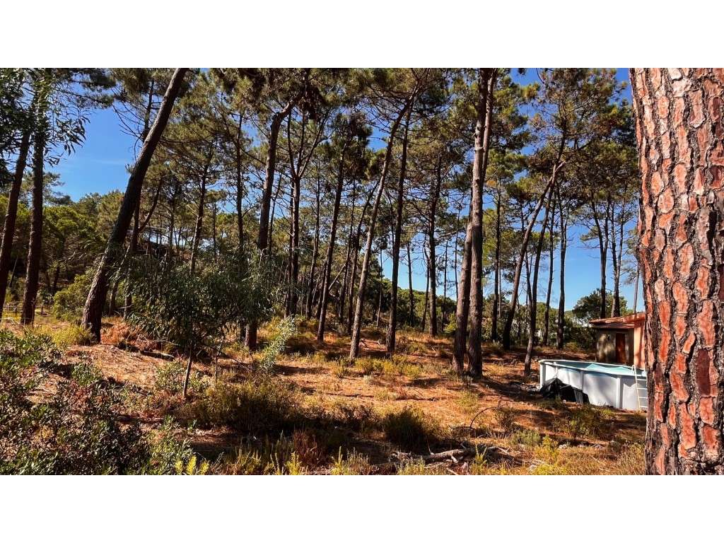 Terreno premium na exclusiva Herdade da Aroeira-5