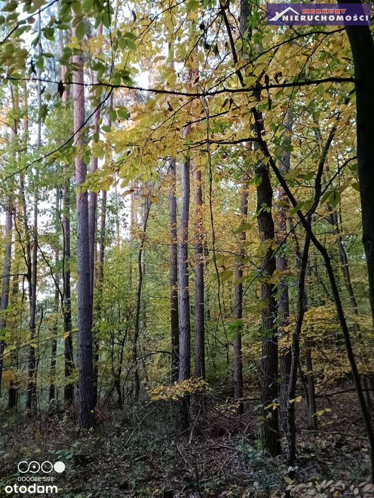 1,96 ha w gminie Bałtów-3