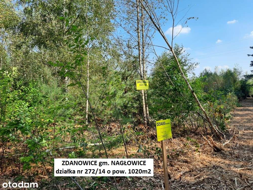 Tania działka rekreacyjna 1020m2 tylko 49.900 zł (brutto z 23% VAT)-15