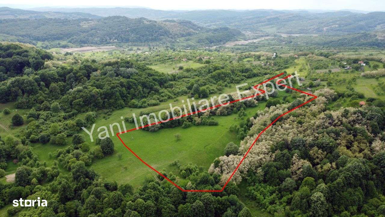 Teren de vânzare în comuna Tigveni, sat Blaju ( 34.600 mp ) - Imagine principală: 5/13