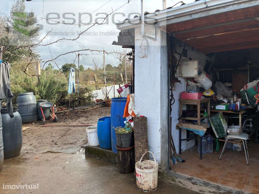 Magnifica Quinta a confinar com Rio Zêzere-30